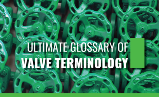 Valve Terminology eBook-1-1